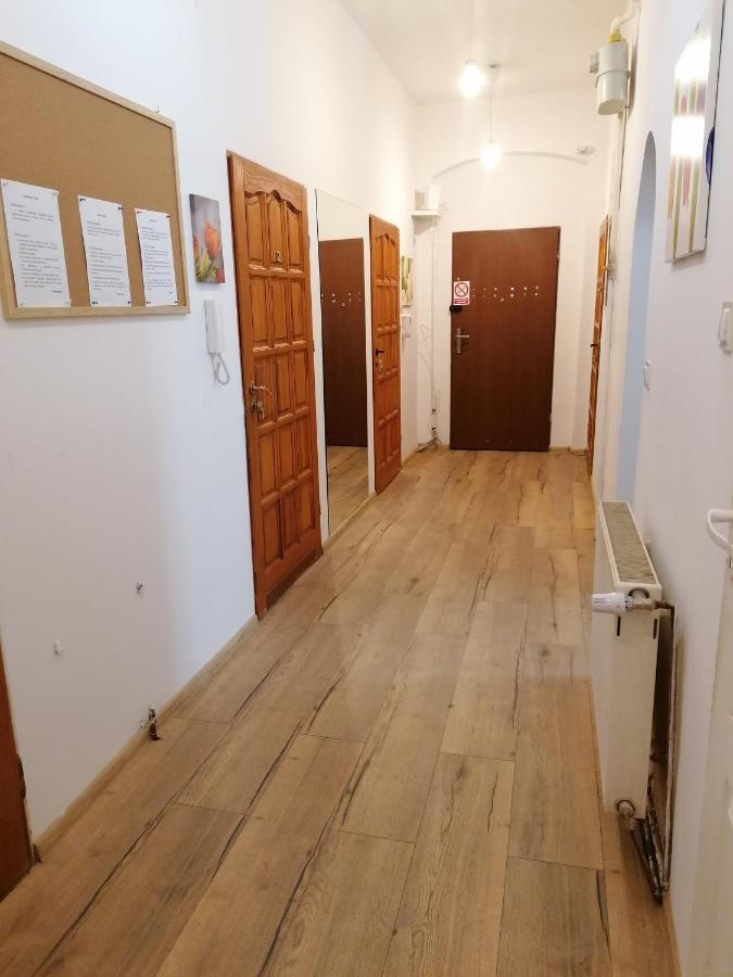 Hostel Tulip - Pokoj Jednoosobowy Nr 3 Ze Wspolna Lazienka I Kuchnia Stettin Exterior foto